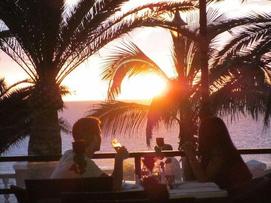 Restaurante Palillos de Oro